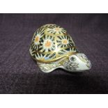 A Royal Crown Derby Paperweight. Indian Star Tortoise modelled by Peter Allen decoration design by