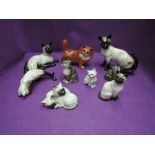 Nine Beswick studies, Persian Cat 898, Persian Kitten 1886, Kitten 1436 x2, Siamese x5