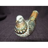 A Royal Crown Derby Paperweight. Turtle Dove modelled by Mark Delf and decoration design by Sue