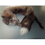 A beautiful fox fur stole having head and feet, lovely condition, soft and supple