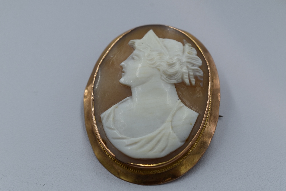 A conche shell cameo brooch depicting a maiden in profile in a plain 9ct rose gold mount