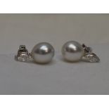 A pair of marquise cut diamond, each approx 0.25ct and South Sea pearl stud earrings in 18ct white