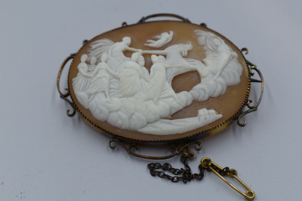 A large conche shell cameo brooch depicting Aurora the goddess of dawn on her chariot in a yellow