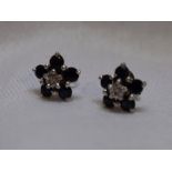 A pair of diamond and sapphire daisy cluster stud earrings in 9ct white gold mounts