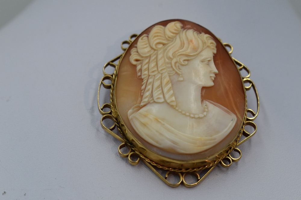 A large conche shell cameo brooch depicting a maiden in profile in a decorative 9ct gold mount