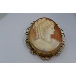 A large conche shell cameo brooch depicting a maiden in profile in a decorative 9ct gold mount