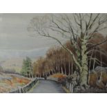 A watercolour signed Neil Taylor, Country Lane. 49cmx36cm