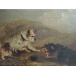 An oil painting Two Terriers by G Armfield, attributed verso 8.5' X 12'