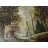 An oil painting on board, David Mead, Bury Hill Woods, Surry, signed, 23inx29in