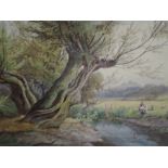 A watercolour, William Wilde, An afternoon by the river, signed and dated (18)85, 13.5in x 19in