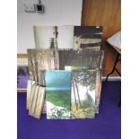 A large selection of canvas prints, mainly landscapes