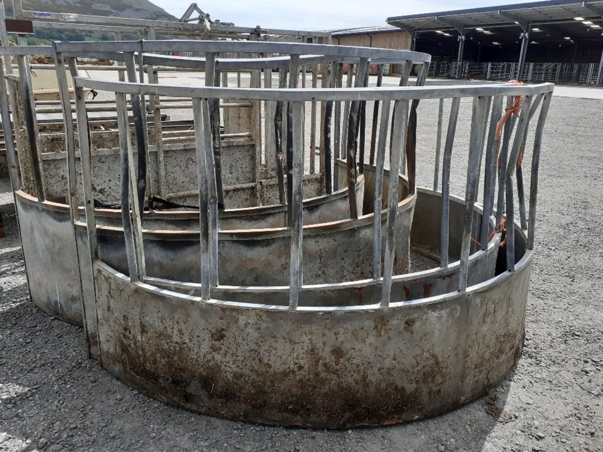 PAIR CATTLE RING FEEDERS