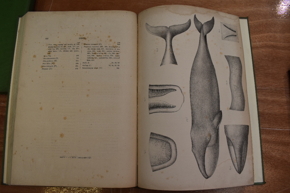 Natural History. A selection, includes; Huxley, T. H. - The Oceanic Hydrozoa. London: Ray Society, - Image 4 of 6