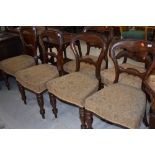 A set of six Victorian mahogany balloon back dining chairs having horse hair stuffed seats on