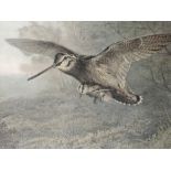 A pair of prints, after Archibald Thorburn, Hungary Woodcock, and a Labour of Love, framed and