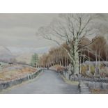 A watercolour, Neil Taylor, country lane, signed,framed and glazed, 36 x 49cm