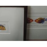 Two Ltd Ed prints, after Hugh Stephens, Fish, numbered 17/50, signed, framed and glazed, 6 x 7cm,