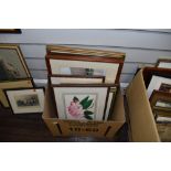 A good selection of original watercolours including botany interest and local landscapes