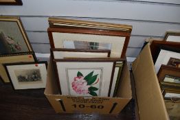 A good selection of original watercolours including botany interest and local landscapes