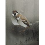 A print, after Ohara Koson, Sparrow birds, 31 x 18cm, framed and glazed