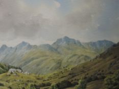 A watercolour, James Ingham Riley, Little Langdale, signed, attributed verso, 24 x 34cm, framed