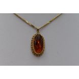 An oval Baltic amber pendant in a 9ct collared mount on 9ct gold curb chain, approx 19'