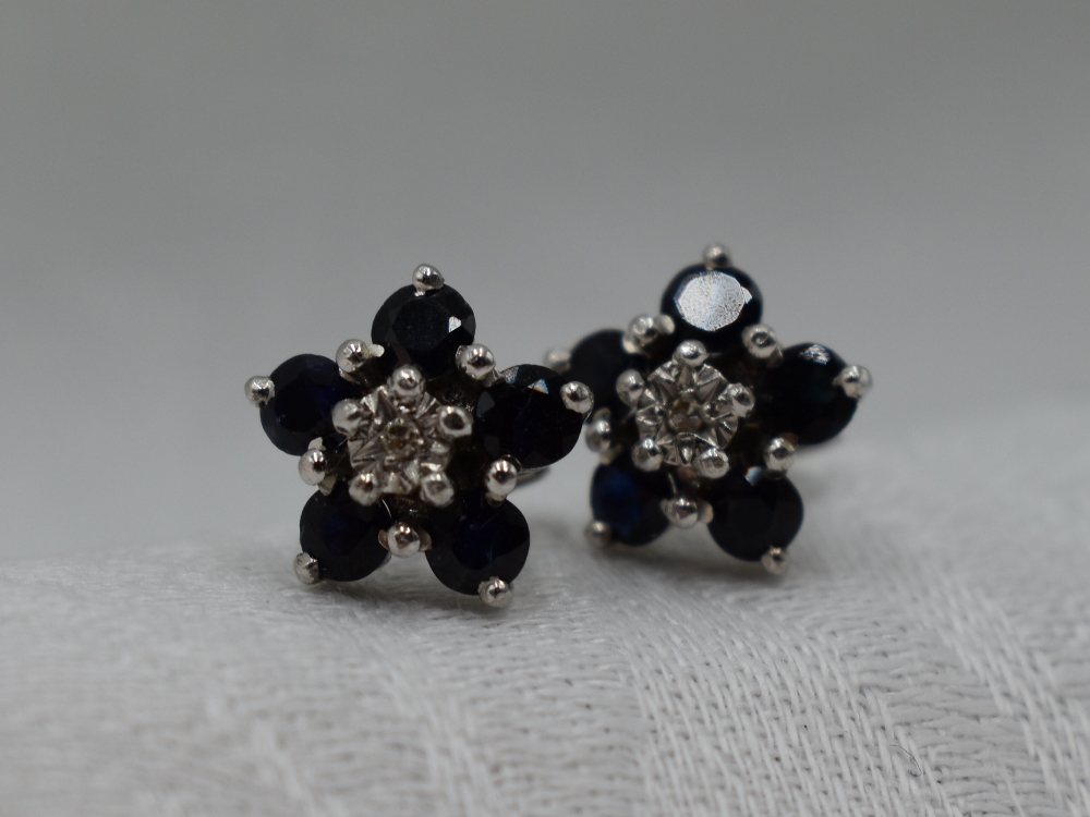 A pair of diamond and sapphire daisy cluster stud earrings in 9ct white gold mounts