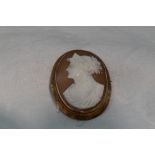 A conche shell cameo brooch depicting a maiden in profile in a plain 9ct rose gold mount