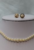 A string of cultured pearls of graduated form with pair of pearl and yellow metal stud earrings