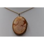 A conche shell cameo brooch/pendant depicting a maiden in profile in a decorative 9ct gold mount