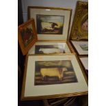 Three Alexander Churchill framed prints of cattle and sheep and one similar oleograph of a red ox.