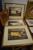 Three Alexander Churchill framed prints of cattle and sheep and one similar oleograph of a red ox.