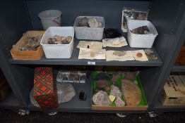 A good selection of geological and archaeological minerals fossils and semi precious stones