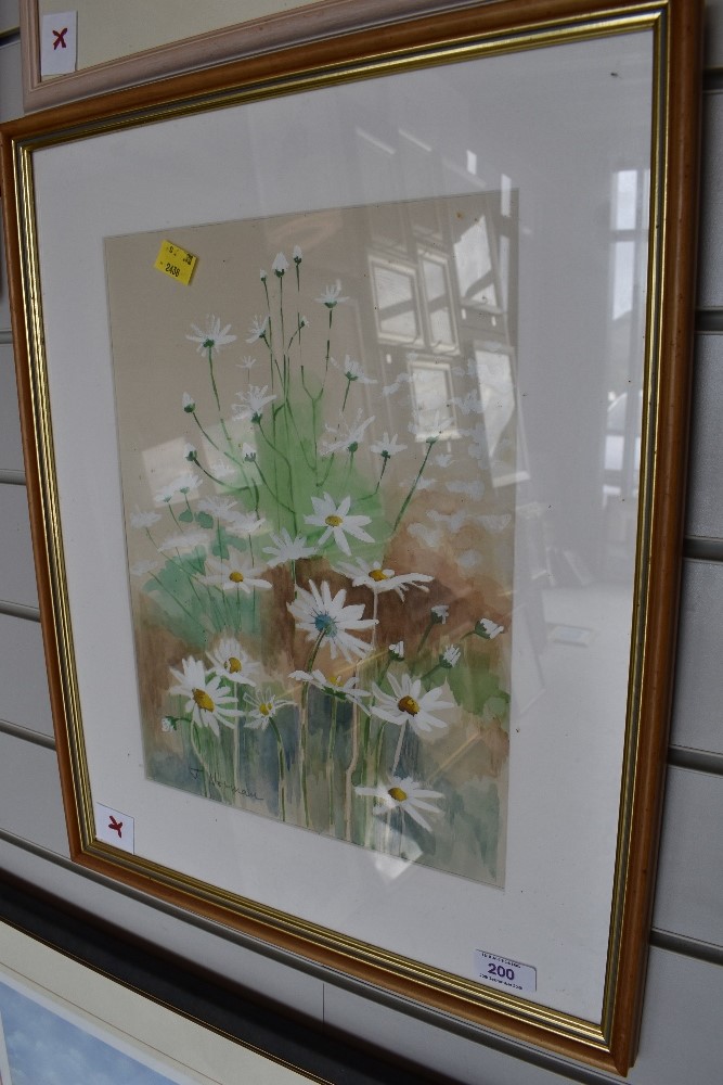 An original watercolour and gouache depicting daisies, J Norman