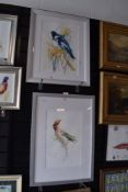 Two impressionist watercolours of exotic birds, indistinctly signed.