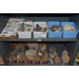 A good selection of geological and archaeological minerals fossils and semi precious stones