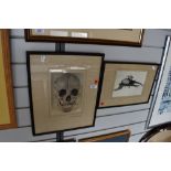 Two framed original photographs one depicting Hercules beetle the other German soldier skull.
