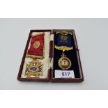 Two 9ct Gold Royal Antediluvian Orders of Buffaloes Jewels, in case