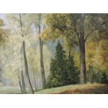 An oil painting on board, David Mead, Bury Hill Woods, Surrey, signed, 58 x 74cm, framed