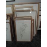 Fourteen sketches, Michael Jenkins, nude studies, inc Secure, 44 x 36cm, all framed and glazed