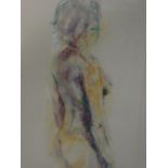 A watercolour and pastel, M Jenkins, nude study, signed and dated (20)02, 65 x28cm, framed and
