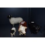 Two Beswick studies, Aberdeen Angus Bull 1562 and Hereford Bull 1363A along with two Coppercraft