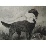A sketch, J Dickinson, gun dog, signed and dated 1914, 20 x 18cm, framed and glazed