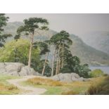 A watercolour, Geoffrey H Pooley, Pines by Ullswater, signed and dated 2002, and attributed verso,