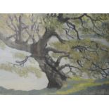 An oil painting, J E Rees, lakeside tree, signed, 38 x 48cm, framed and glazed