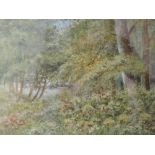 A watercolour, Elizabeth H Lawrence, Woodland in Summer, signed and attributed verso, 18 x 25cm,