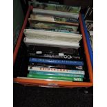 Books. A carton. Large format miscellany. Includes, Art, Topography, etc. (22)