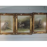 Three oil paintings on board, Mike Nance, Badger, Red Squirrel, and Otter, signed, 40 x 30cm, framed