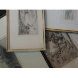 Four etchings, inc after T S Chester, woodland, 20 x 30cm, framed and glazed