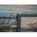 A limited edition print after Peter Scott, geese, signed and numbered 169/250, 55 x 68cm, framed and